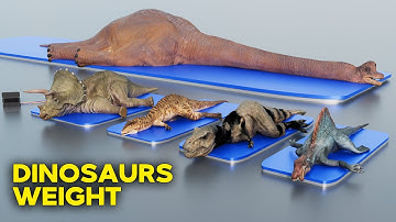 JURASSIC Dinosaur WEIGHT Comparison | 3D Animation Comparison