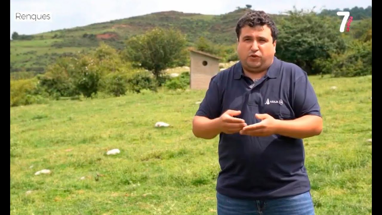 La ganadería extensiva