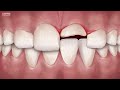 Araz Dental Clinic