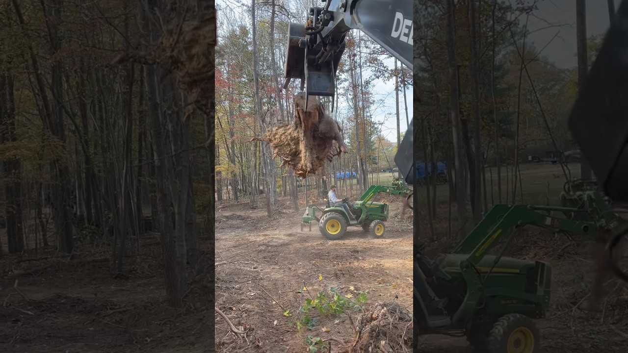 ОЧИСТИТЕ ПЕНЬ ОТ ГРЯЗИ 