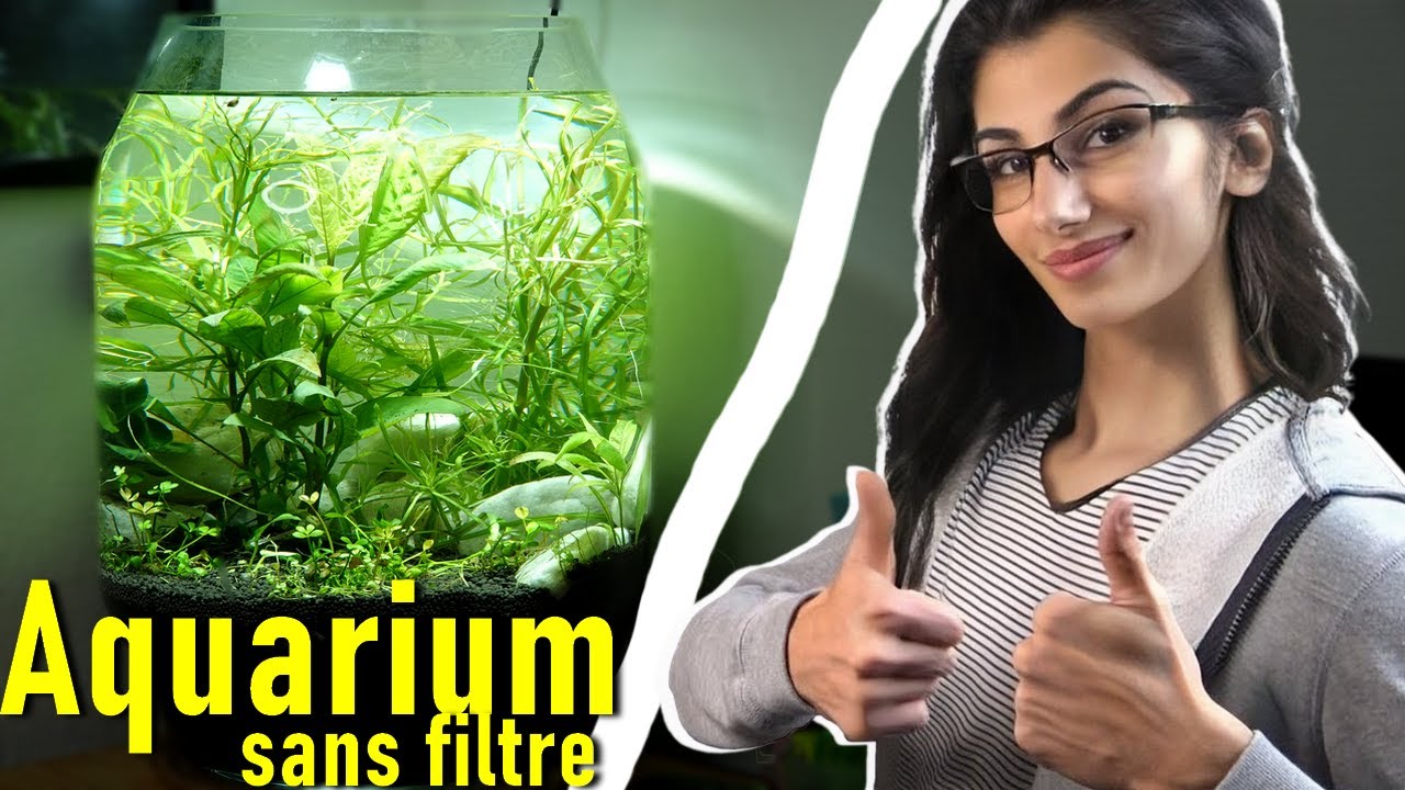 Je fabrique un aquarium pour ma soeur