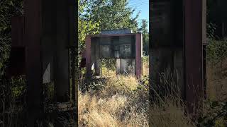 What is this?