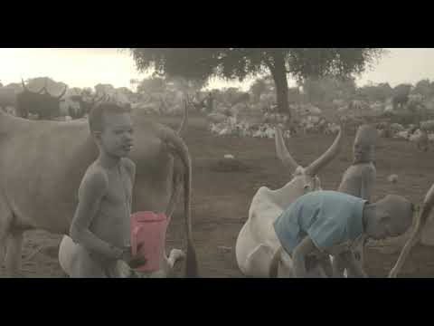 Mundari boy showering in the cow urine to dye his hair in orange, Central Equatoria, South Sudan