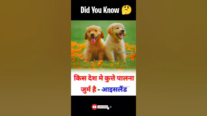 Did You Know 🤔 - Part 14 #shorts #short #facts #fact #shortvideo #youtubeshorts #shortsfeed #share