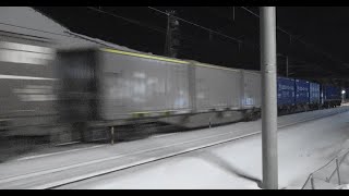 【復活の定通！】EF510-515号機（4059ﾚ） 日本海縦貫線(ハピラインふくい線)　福井～森田 2026年2月4日