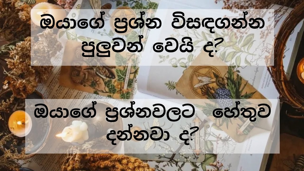 ඔයා ප්‍රශ්නයක නම් ඉන්නෙ මේක බලලා විසඳුම ගන්න🪷 විශ්වයේ කියවීමක් 