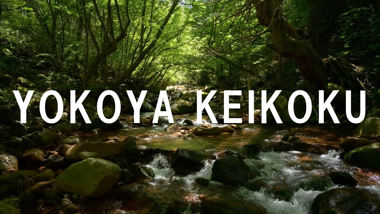 【横谷渓谷】川を散歩してきた