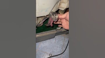 Nguyên nhân máy giặt, không vắt, không xả nước được các chức năng ấn đều không tác dụng.#suachuadien