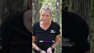 Celebrity Invasive pythons are destroying the Everlades #invasivepythons #pythonhuntress Profile