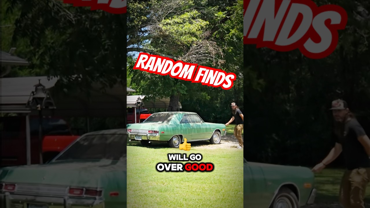 Случайные находки для автопутешествий, которые вы не найдёте в интернете! 