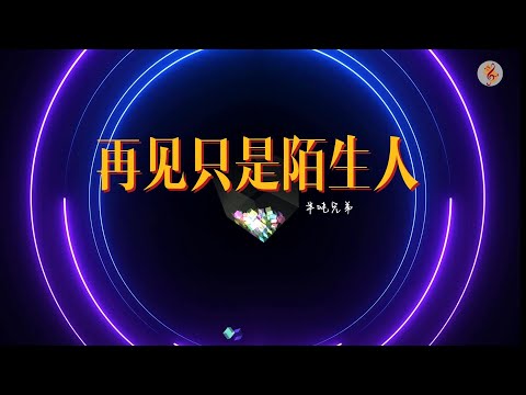 半吨兄弟《再见只是陌生人》(DJ版)【我们爱的难舍难分 爱的奋不顾身 为何再见 只是陌生人】『動態Pinyin歌詞lyrics MV♫』