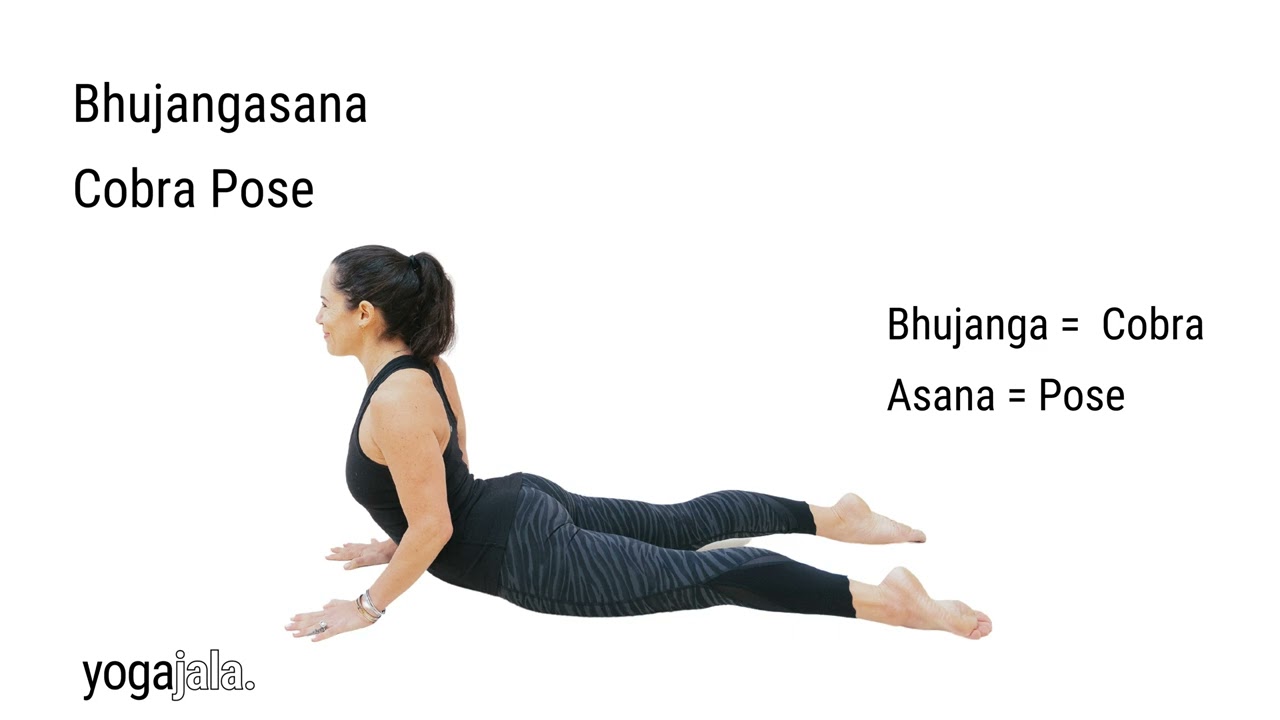 The king cobra pose is all you need to embrace for a tight and firm body |  HealthShots