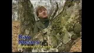 Ray Mears Tracks Uses of Birch