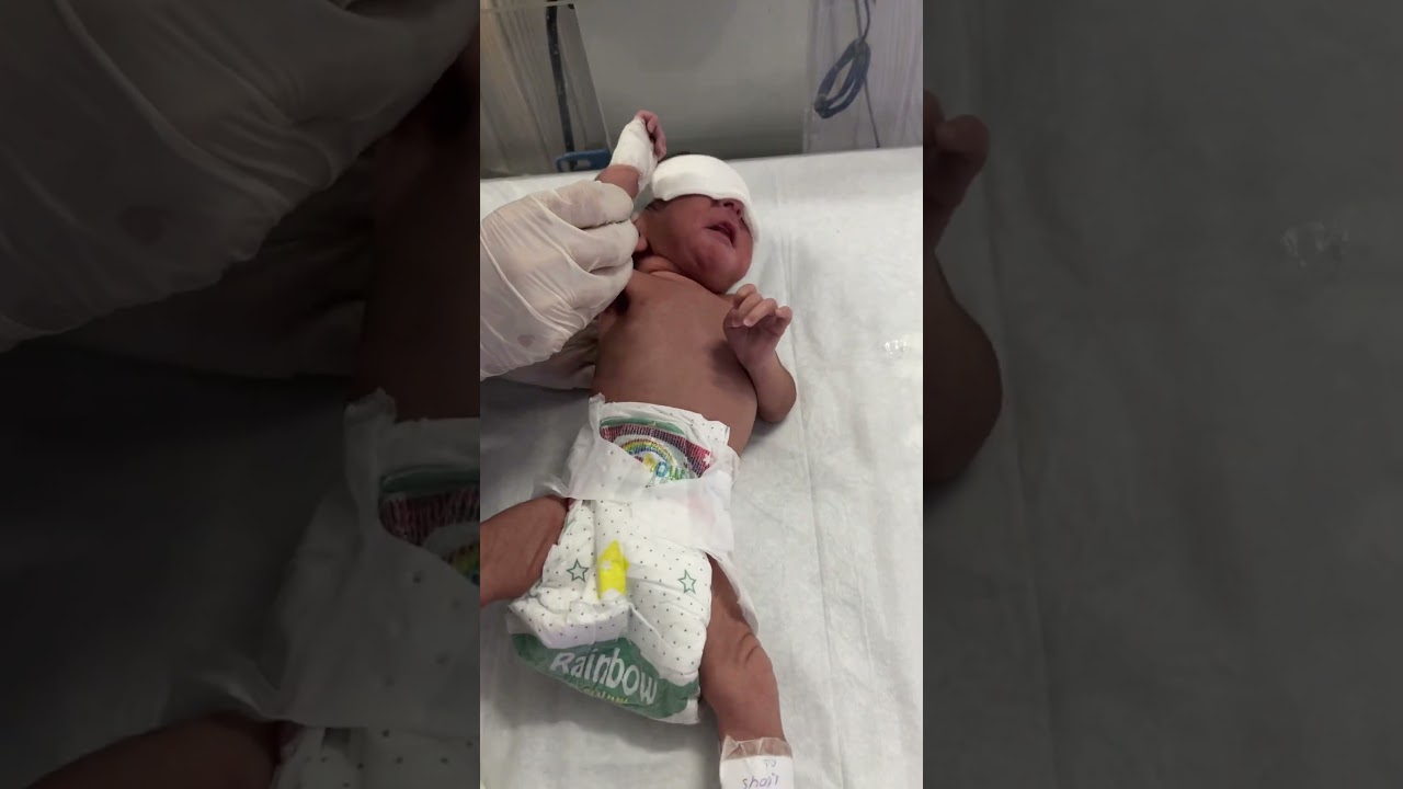 Black not wake up to feeding 