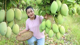 Pregnant mom harvest mango to make mango salad with smoked fish - Cooking with Sreypov
