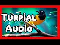 Audio para enseñar a el Turpial, Original efectivo para estimular el canto