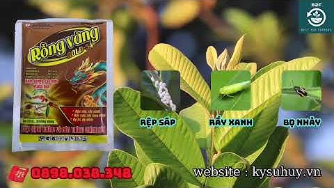 RỒNG VÀNG GOLD 54 ATT – TRỊ RỆP SÁP, RẦY XANH LH 0345.37.88.38