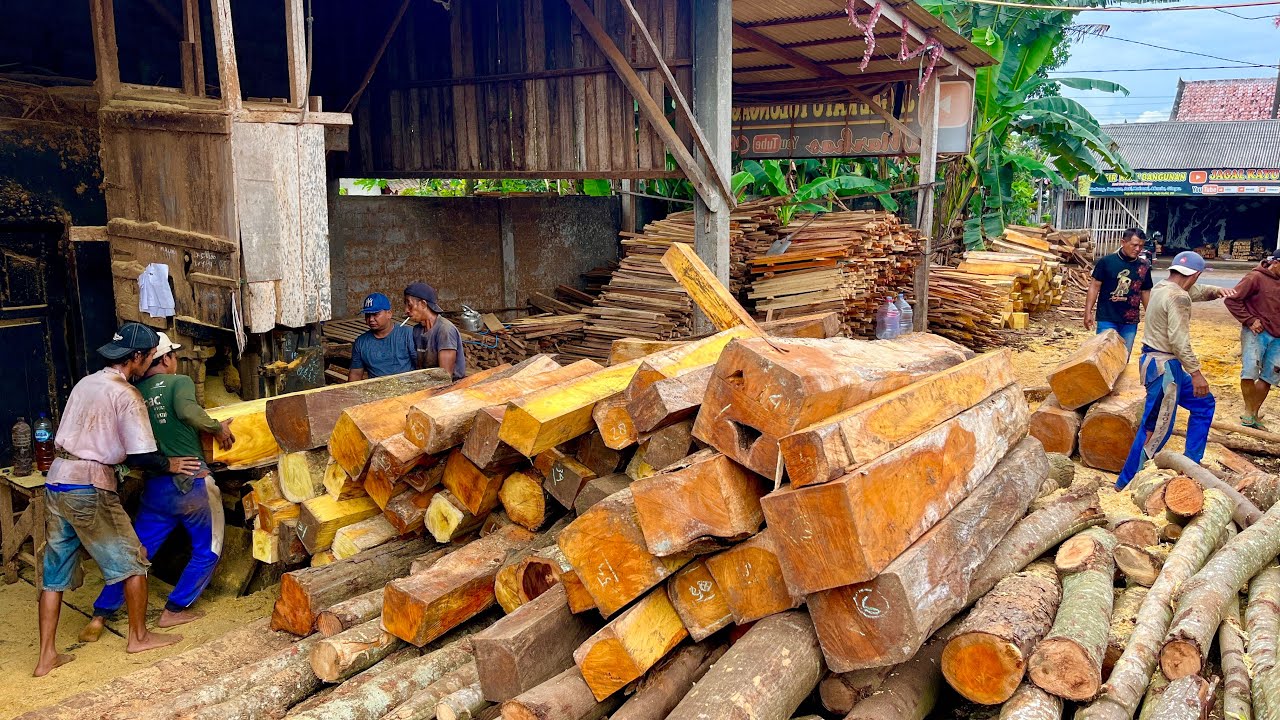 Windfall!This Jackfruit Wood is Being Valued Fantastically by the Boss of a Processed BlockCollector