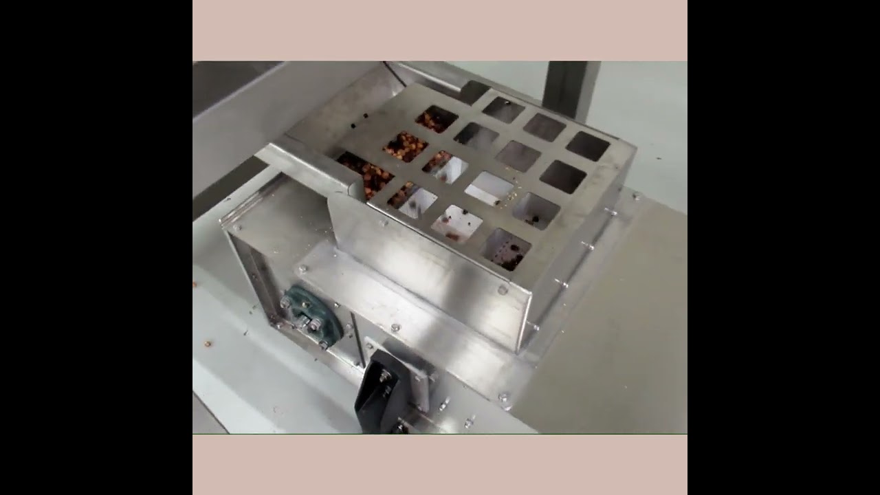 Nuts Processing Line