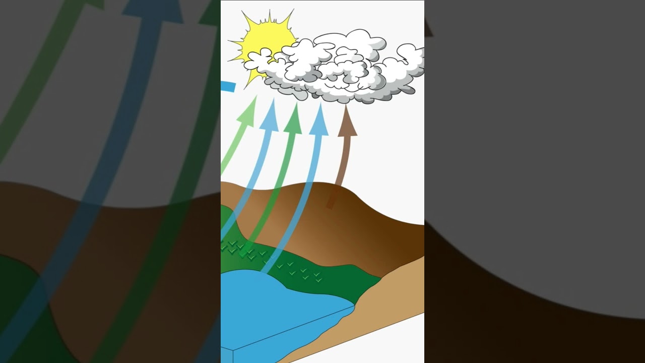 types of ground water 