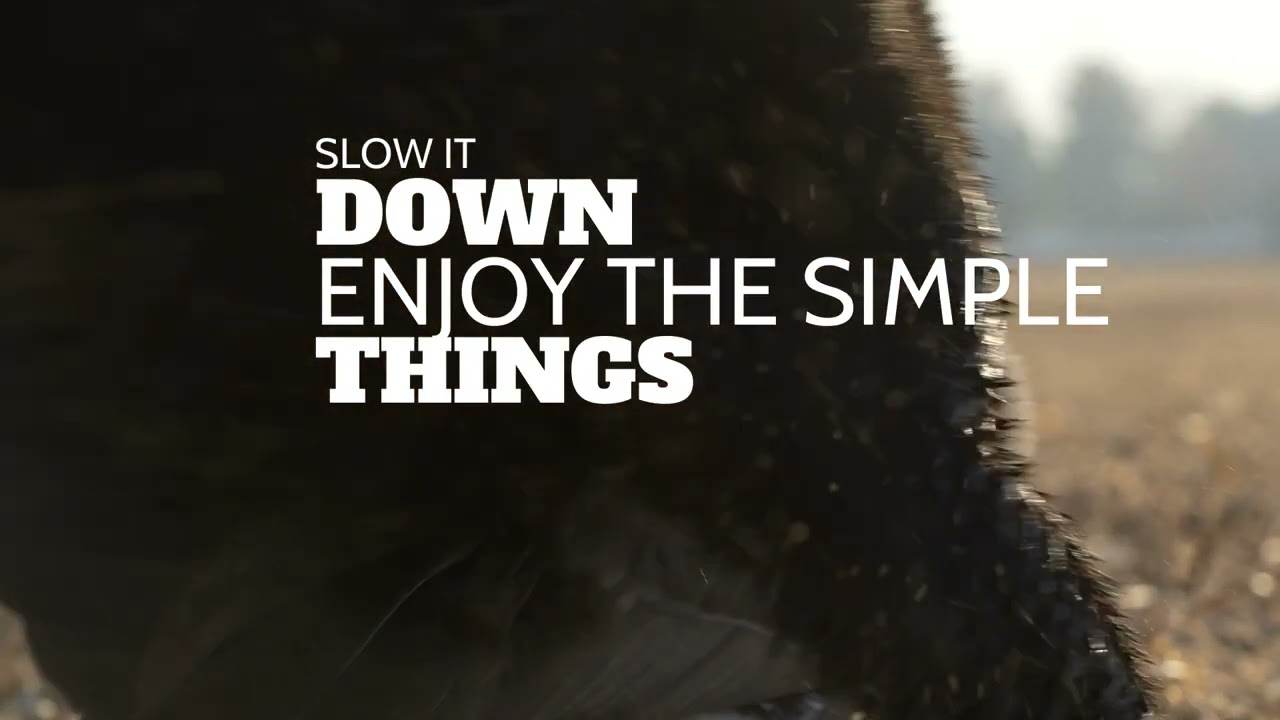 Slow Motion Goose Retrieve-Goose Hunting