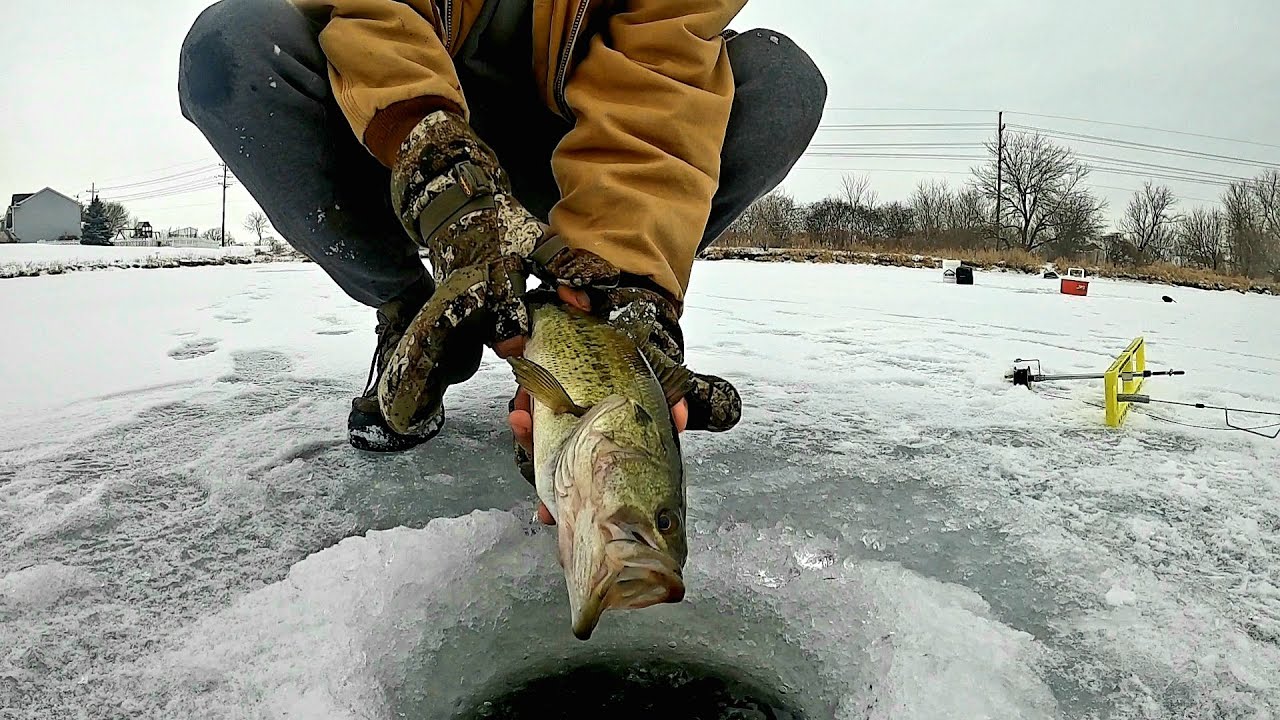 Ice Fishing in Illinois for Whatever Bites!!! (January 2021)