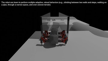 Versatile modular neural locomotion control with fast learning