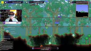 TERRARIA CALAMITY REVENGANCE RUN SOLO FIRST TIME