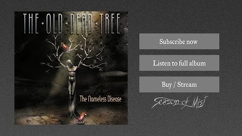 The Old Dead Tree - Transition