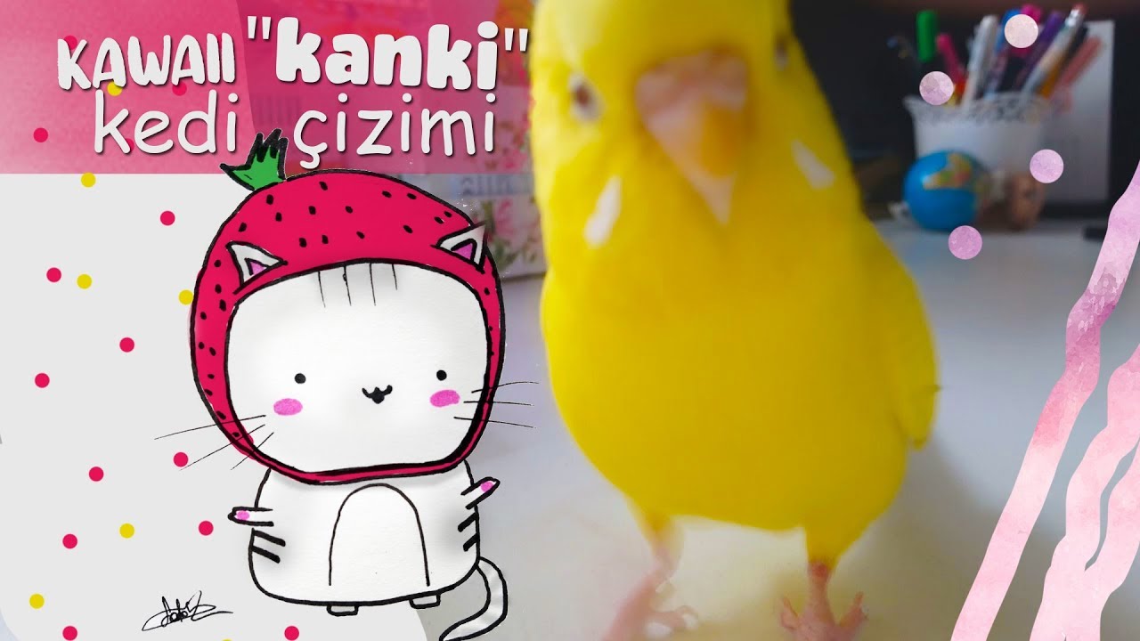 Kawaii Kedi Çizimi 🐱 YouTube