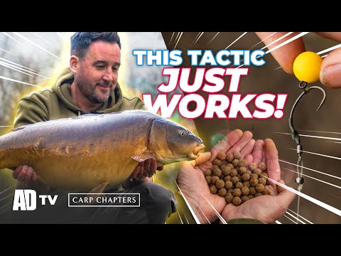 Carp Fishing Winter/Spring Tactics Blasford Hill - Carp Chapters