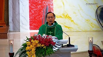 Bài Giảng Cha Giuse Nguyễn Phan Tài || Thứ Ba XXIII Thường Niên Năm C || 09.09.2025.