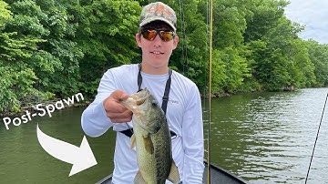 Catching Post-spawn bass during the Shad Spawn!!