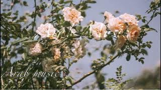 Fairuz - Tiri Ya Tayara ( Lyric Video) فيروز - طيري يا طيارة ( لو فينا نهرب و نطير مع هالورق الطاير)