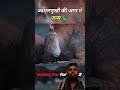 dinosaur sanghar #facts #saree #facts #animals