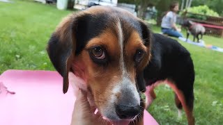 FOHA Buddies - 5/18/2022
