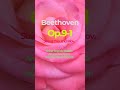 Beethoven Op.9-1 String Trio 2nd Mov.(Mutter,Giuranna,Rostropovich)