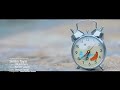    ژینا نصیری نوروز