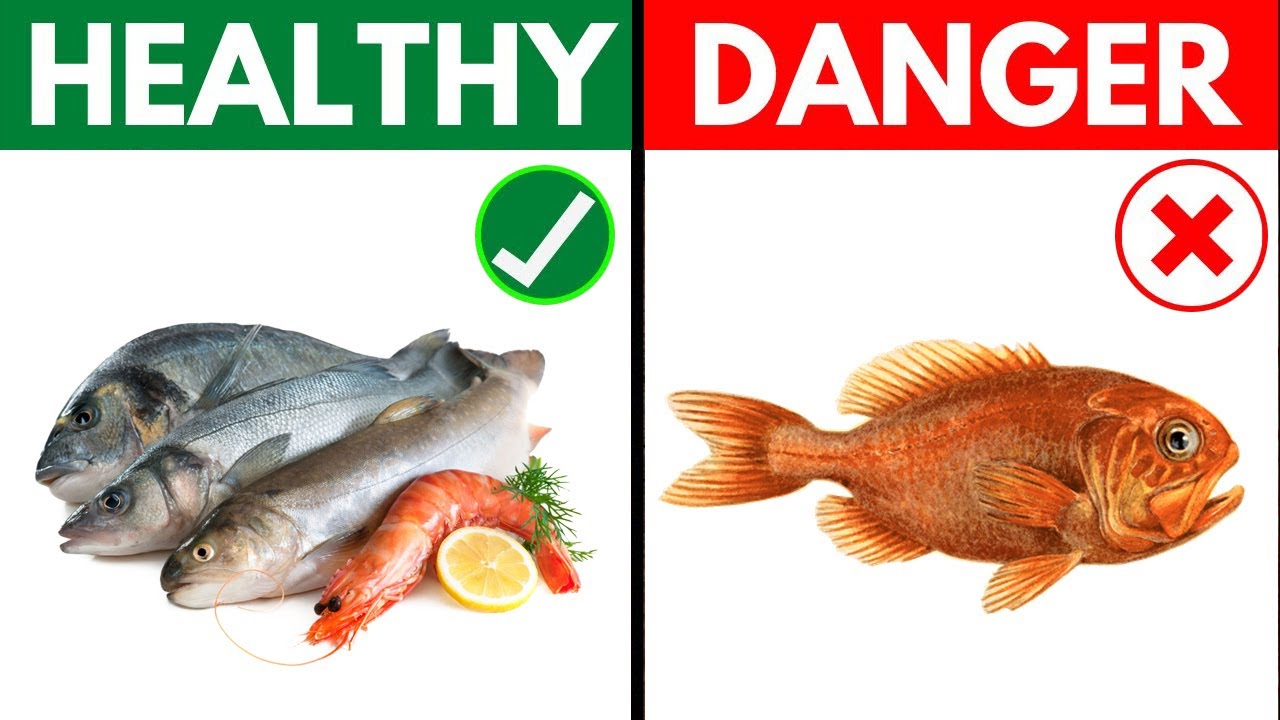 6 of The Healthiest Fish to Eat and 7 to Avoid - YouTube