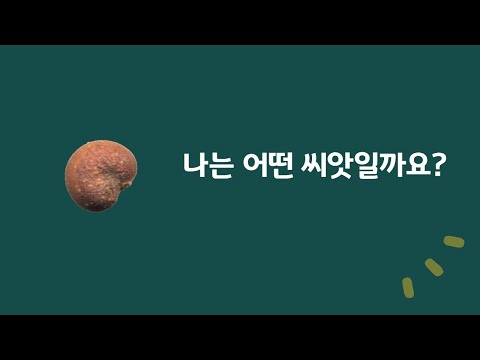 진로교육 영상-나는 어떤 씨앗일까요?
