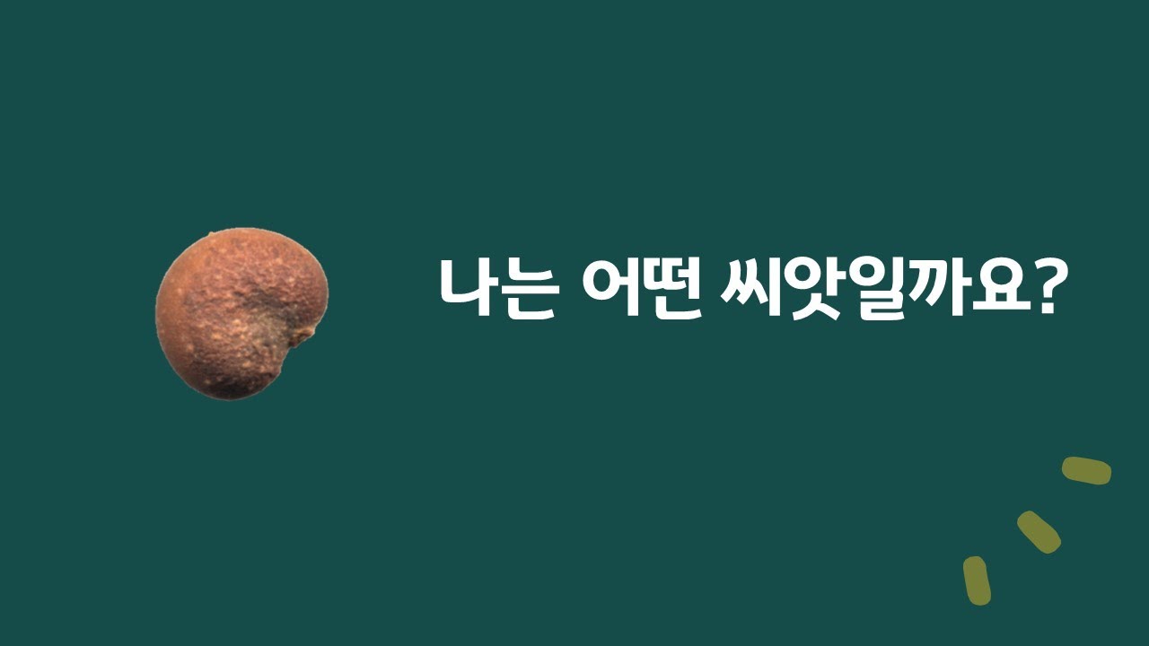 진로교육 영상-나는 어떤 씨앗일까요?