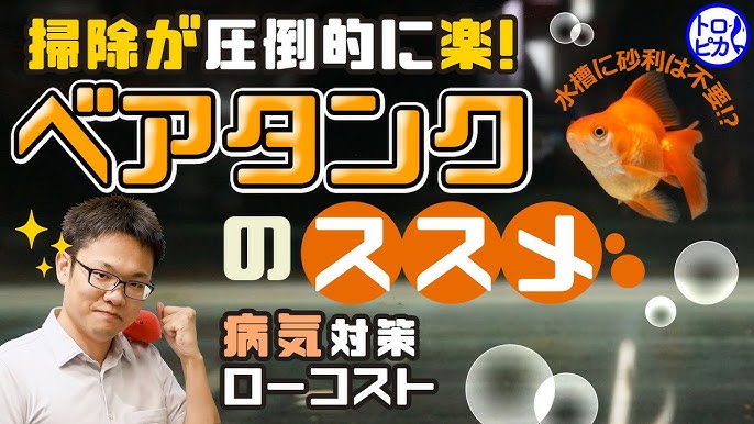 水槽用ヒーターの電気代はいくら 圧倒的に節約できる効果的な使い方は Youtube 水槽用ヒーターの電気代はいくら 圧倒的に節約できる効果的な使い方は Youtube