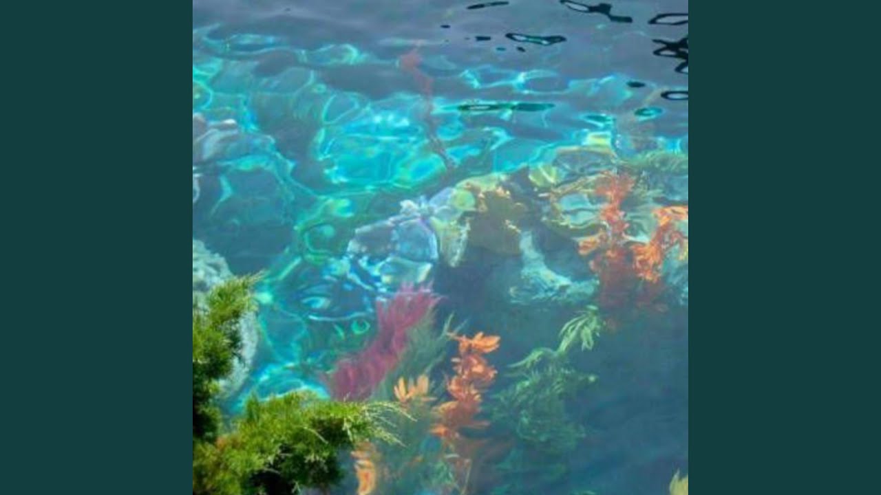 YouTubeでSunsetを視聴 YouTubeでSunsetを視聴