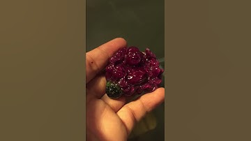 Tượng Di Lạc Ruby Vip Đỏ Huyết