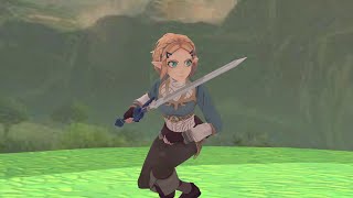 Zelda Animation - Combo Net Worth