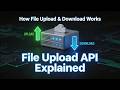How File Upload &amp; Download Works in ASP.NET Core (.NET 10 Web API Tutorial)