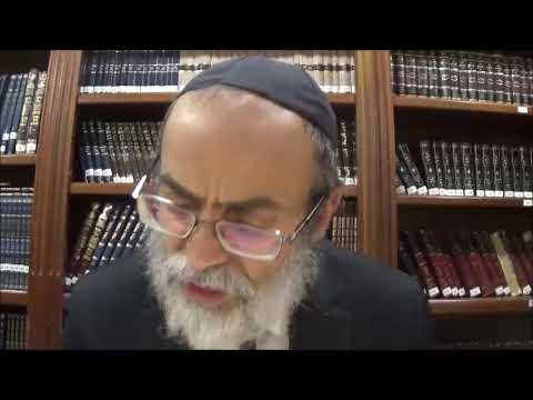 Bekhorot 35b - Youtube