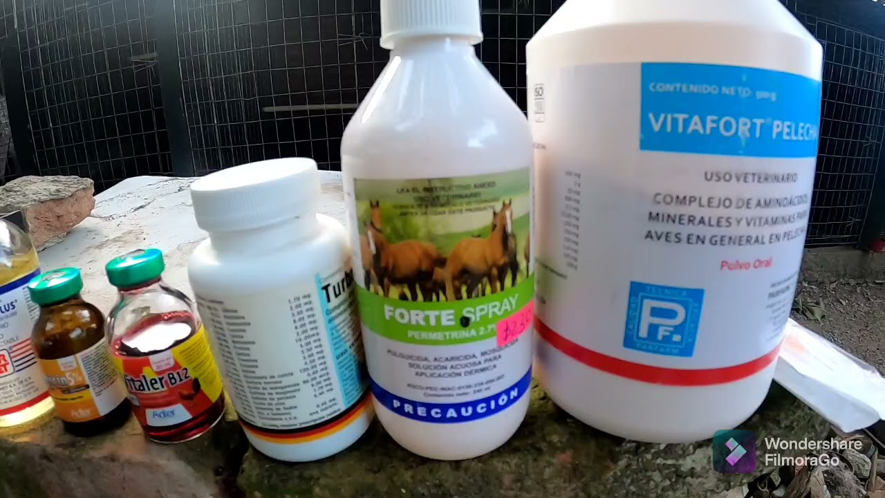 CUALES VITAMINAS, ANTIBIÓTICOS Y MEDICAMENTOS USO EN LA GALLERA