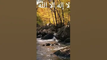 Qulfii Jannataa Jireenya Barabaraa 