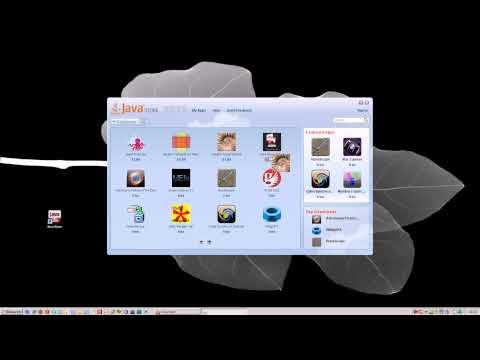 Java Store Bugs